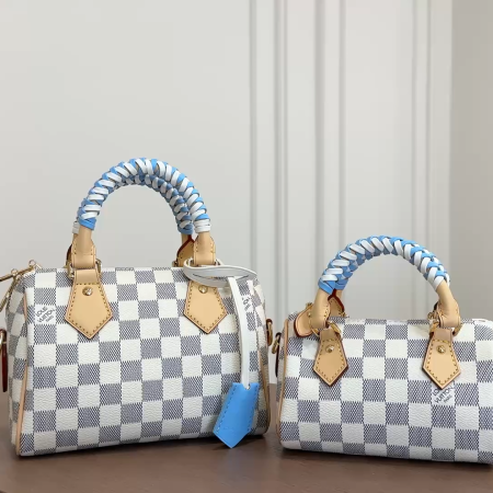 LV Speedy Pillow Bag (Checkered)