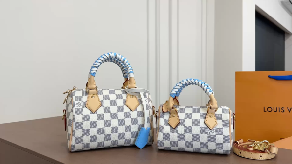LV Speedy Pillow Bag (Checkered)