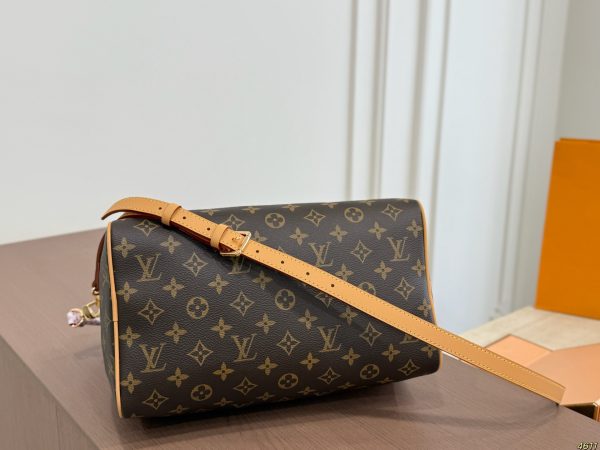 LV Speedy Soft Pillowcase
