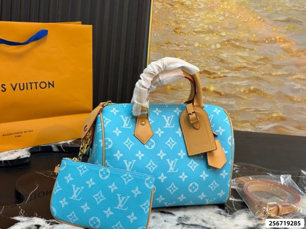 LV Speedy Pillow Bag