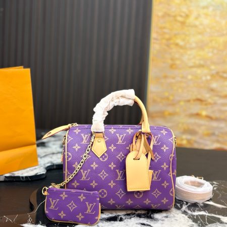 LV Speedy 25 Bag - Image 4
