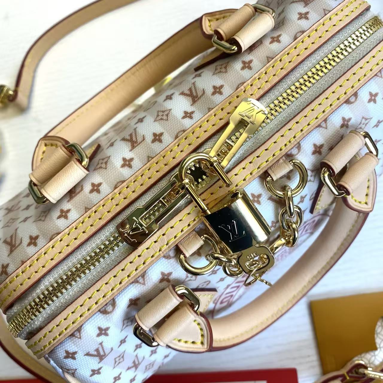 LV Speedy Bandoulière 20 Pillow Bag - Image 6