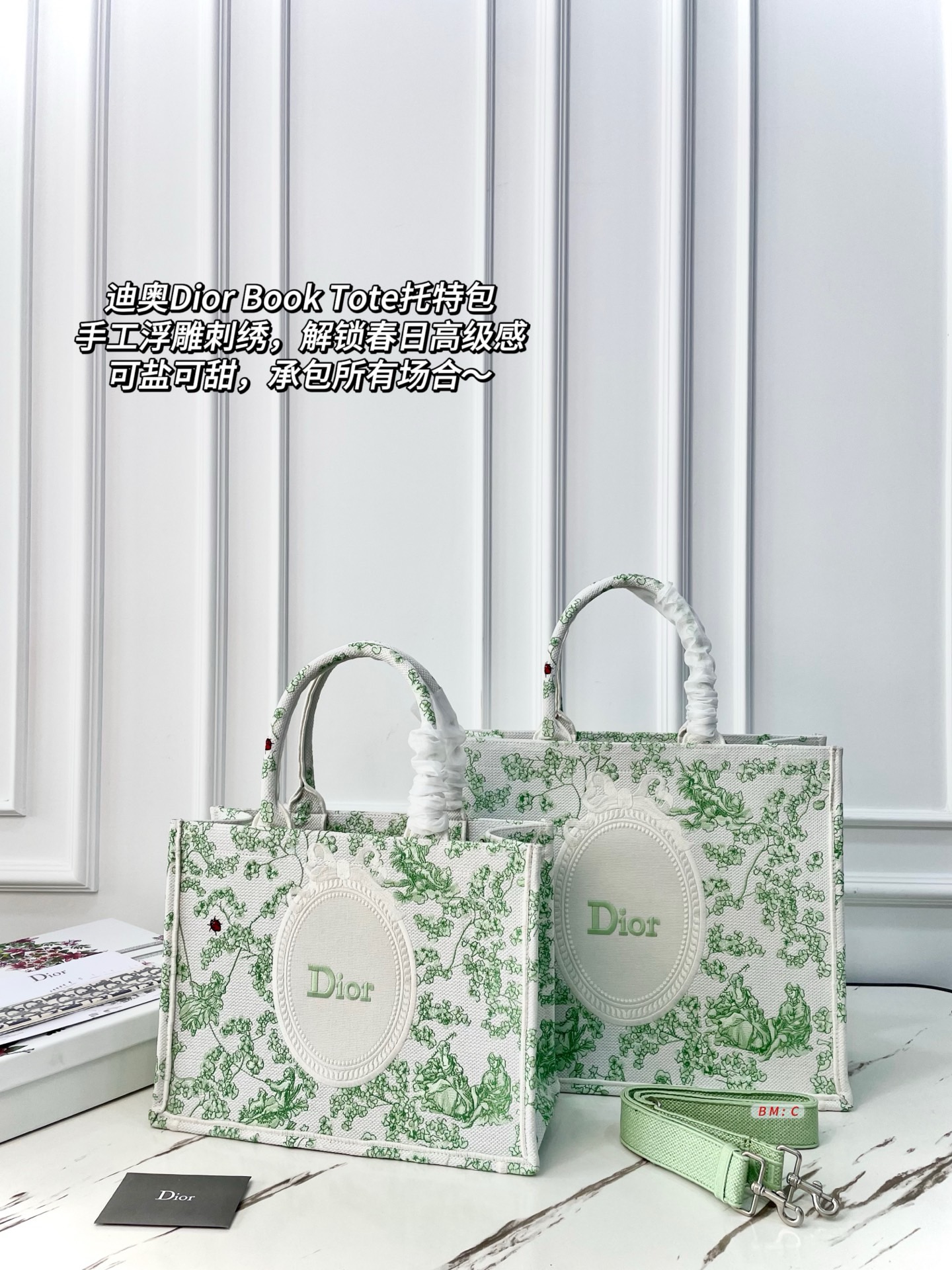 Dior Book Tote Bag - Image 1