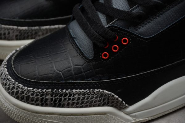 Air Jordan 3 Animal Instinct 2.0 CV3583-003