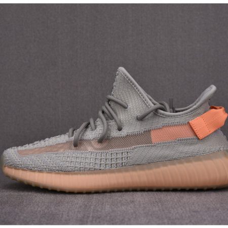 Yeezy Boost 350 V2 True Form EG7492