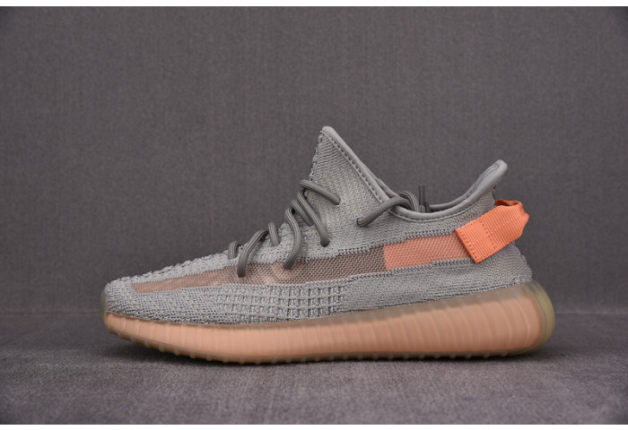 Yeezy Boost 350 V2 True Form EG7492 - Image 1