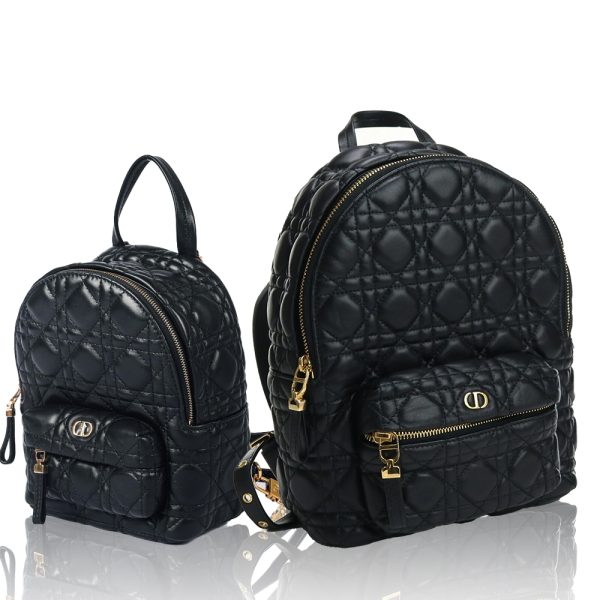DIOR Shoulder Backpack