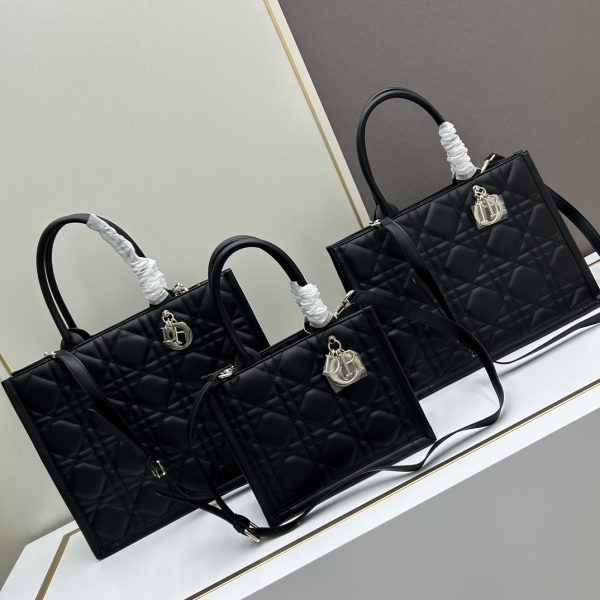Dior Book Tote bag