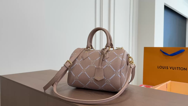 LV Speedy Soft 25 Pillow Case