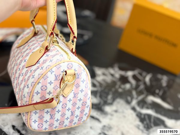 LV Speedy Soft 20 Pillow Case