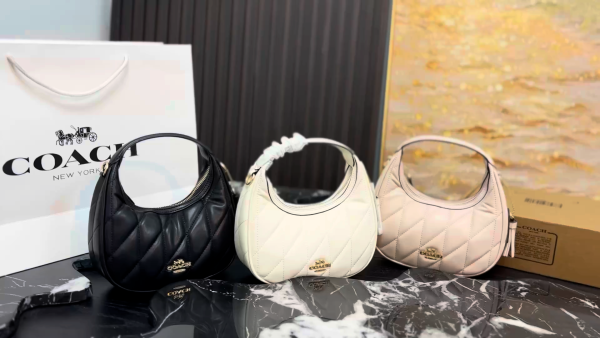 Coach Carmen Crescent Bag