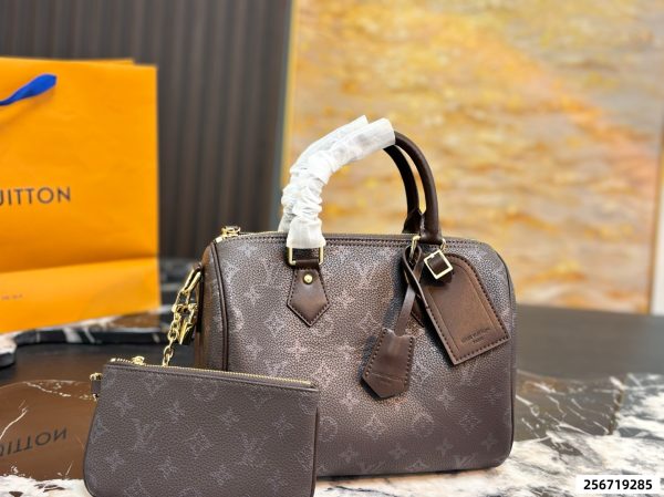 LV Speedy Pillow Bag