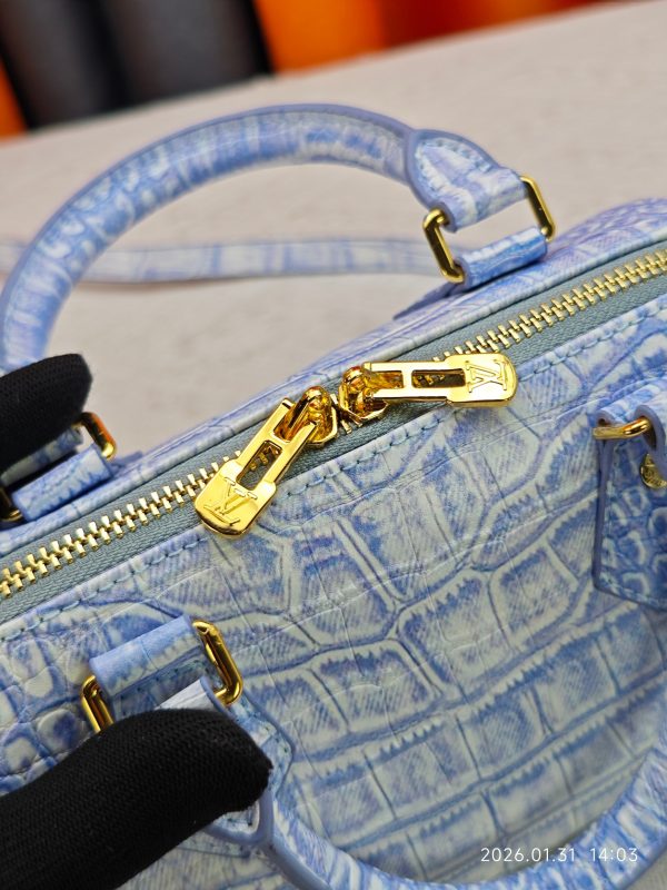 LV  Speedy 20 Soft Bag