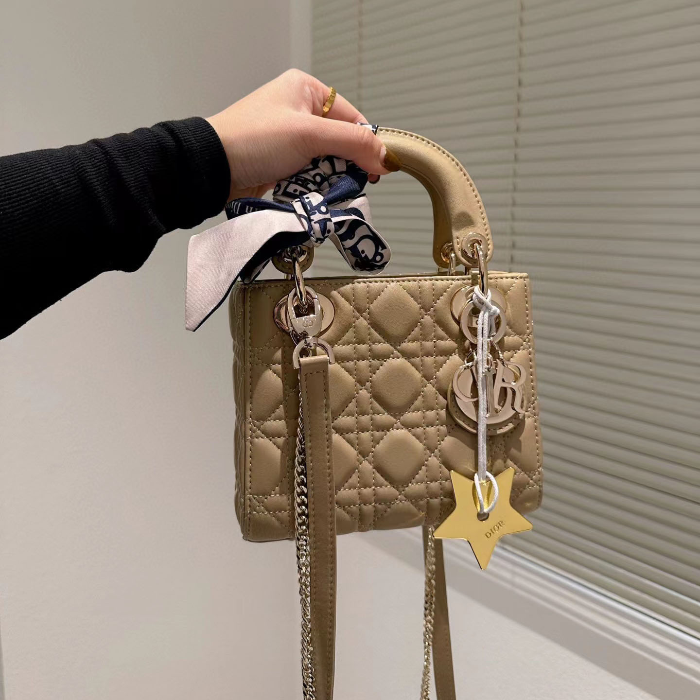 Dior Mini Lady Bag - Image 11