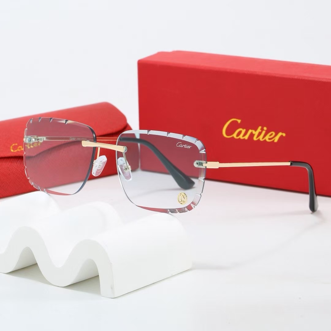 Catier Fashionable Sunglasses - Image 6