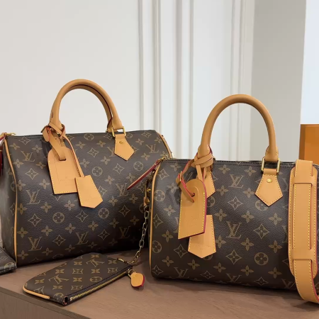 LV Speedy P9 Pillow Bag - Image 1