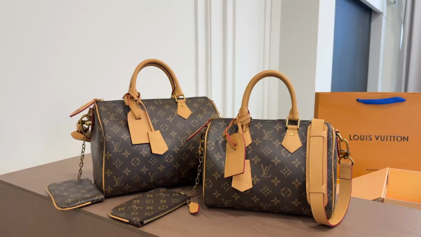 LV Speedy P9 Pillow Bag