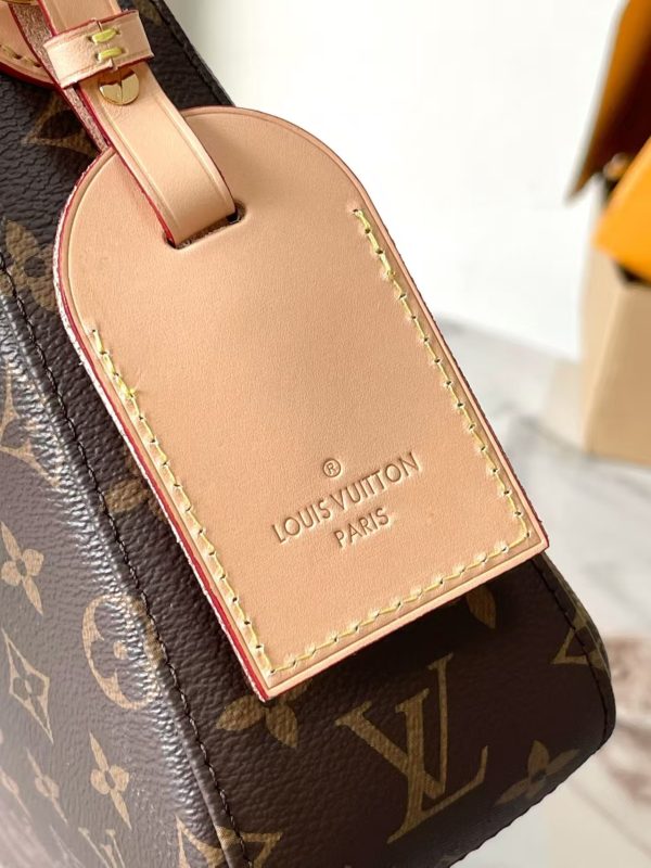 LV Slouchy Tote Bag