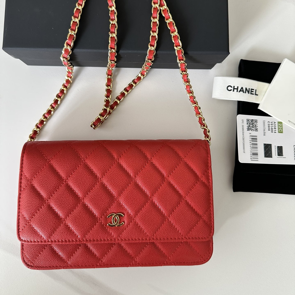 Chanel Classic Wallet on Chain Quilted Caviar - Image 6