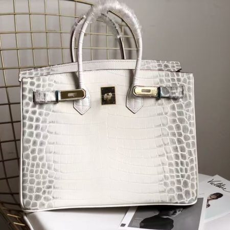 Hermès Crocodile-Print