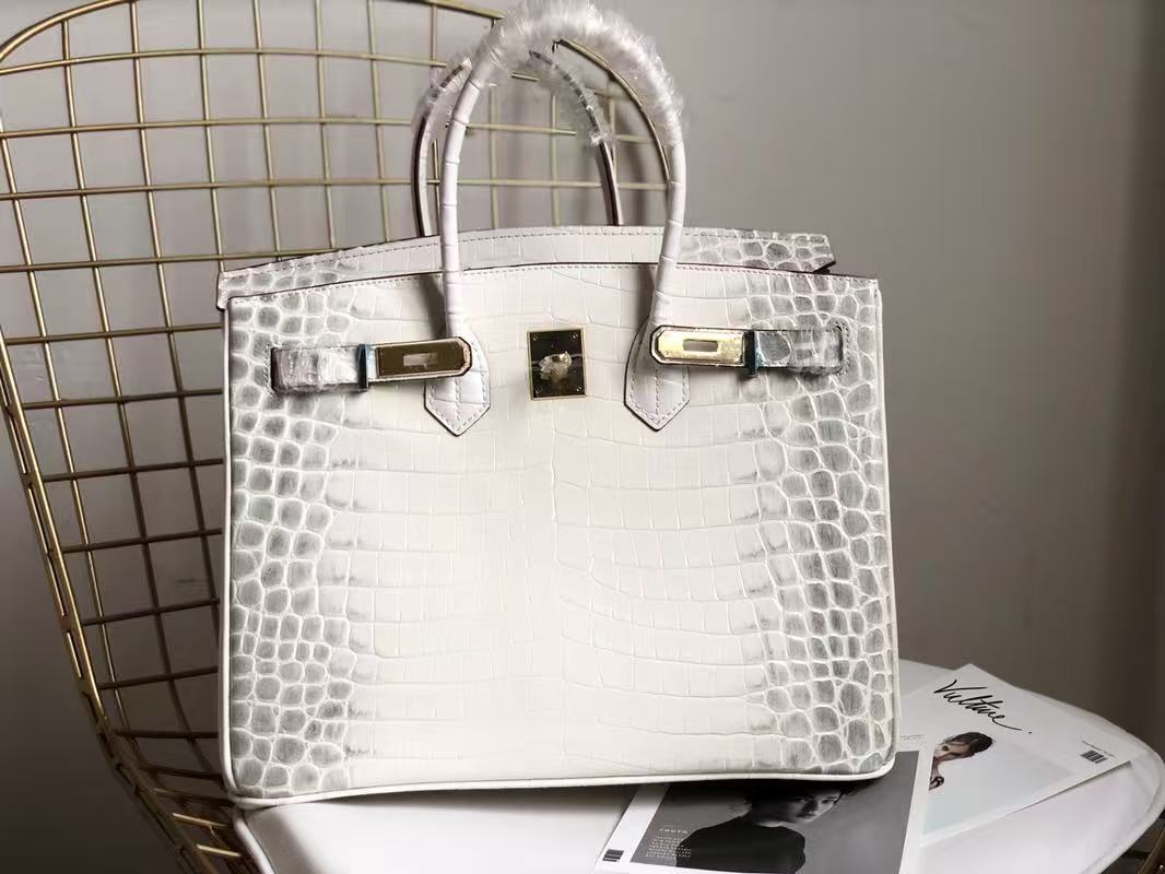 Hermès Crocodile-Print - Image 1