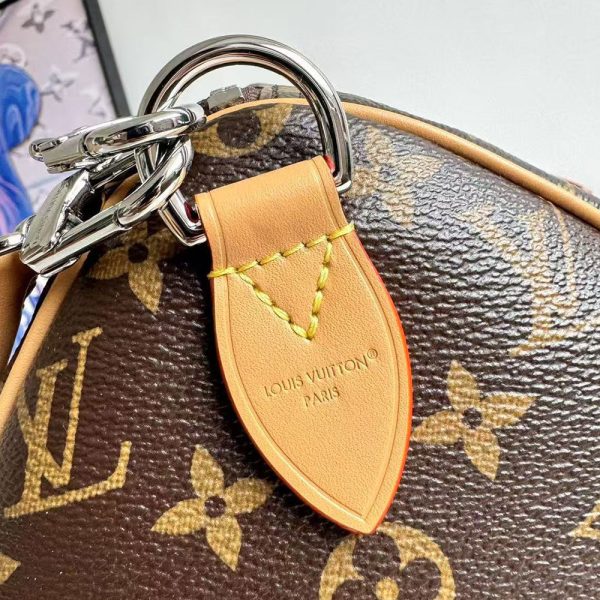 LV Speedy Soft 30 Bag