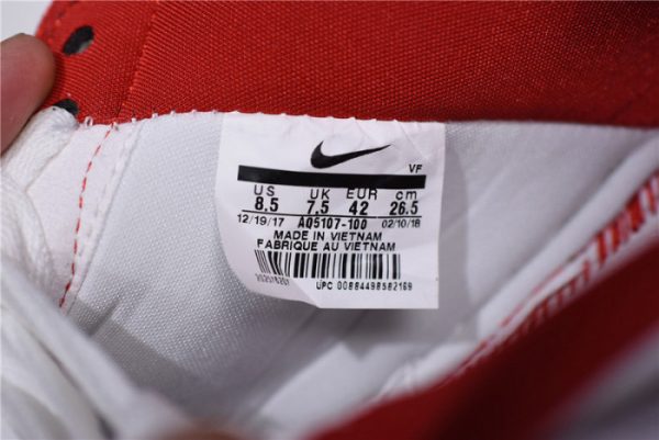 Nike Air Force 1 Low Fo Fi Fo AQ5107-100