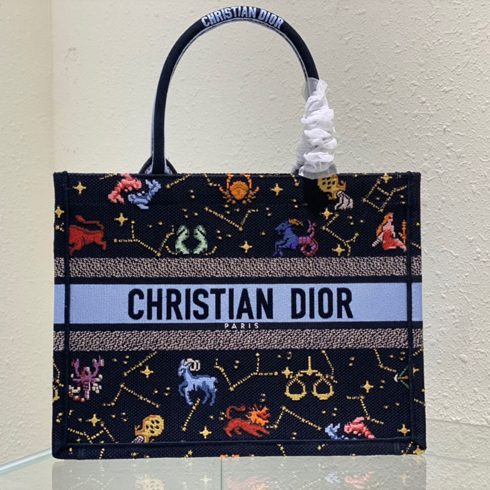 DIOR Book Tote Bags Collection - Image 14