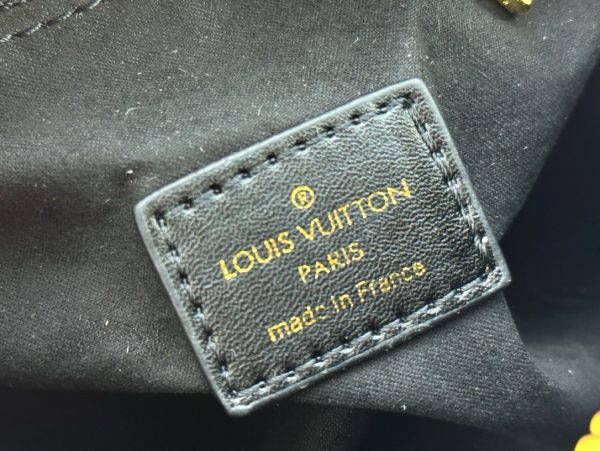 LV Speedy Trunk 20 Monogram Canvas Bag