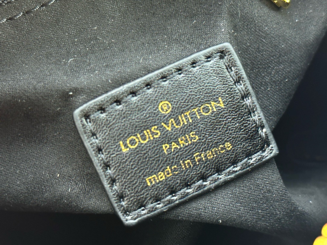 LV Speedy Trunk 20 Monogram Canvas Bag - Image 7
