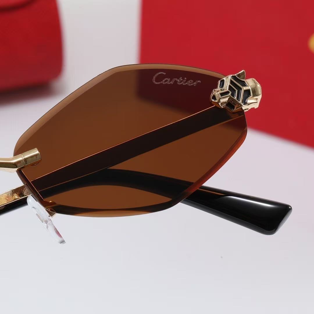 Cartier Fashionable Sunglasses - Image 8