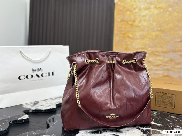 Coach Evelyn Chain Lucky Bag
