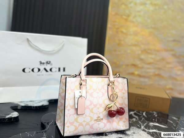Coach Maggie Series Small Tote Bag
