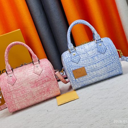 LV  Speedy 20 Soft Bag