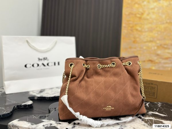 Coach Evelyn Chain Lucky Bag