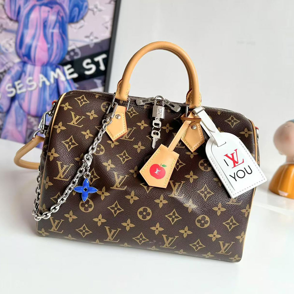 LV Speedy Soft 30 Bag - Image 4