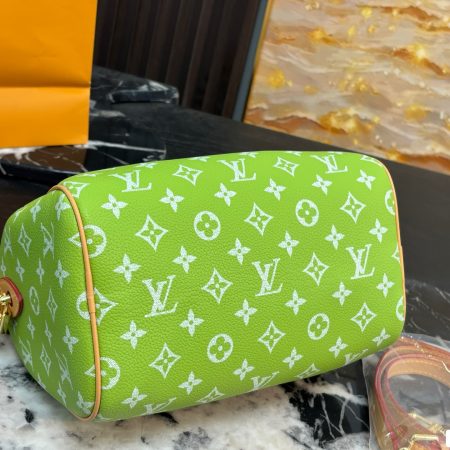 LV Speedy Pillow Bag - Image 14