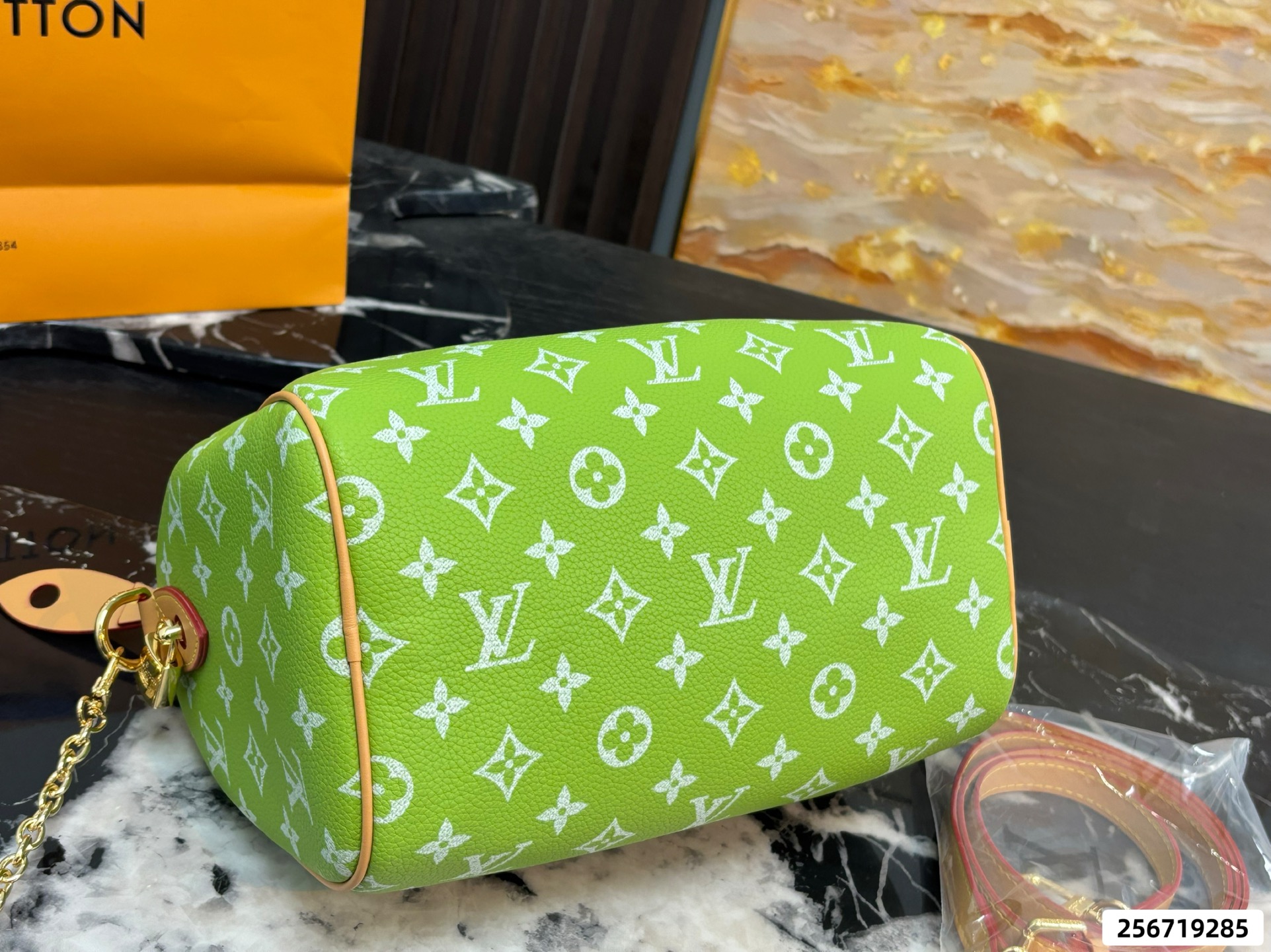 LV Speedy Pillow Bag - Image 14