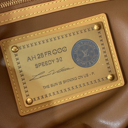 LV Speedy P9 Bandoulière 30 Bag - Image 9
