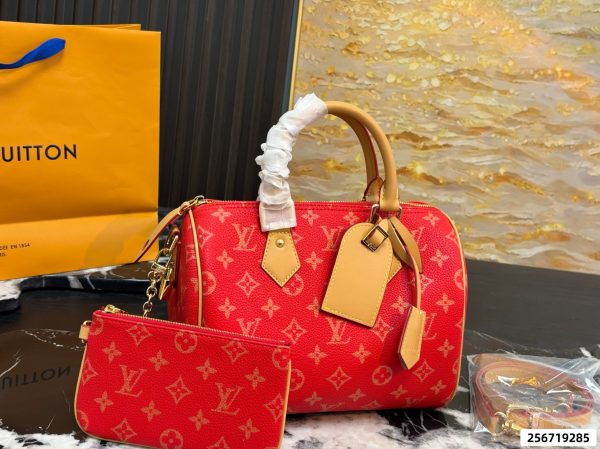 LV Speedy Pillow Bag
