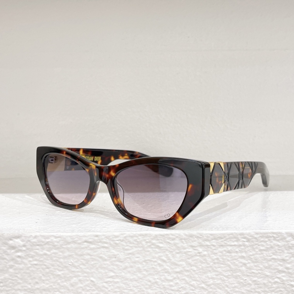 Dior Outdoor Casual Oval Sunglasses Top Quality - Image 6