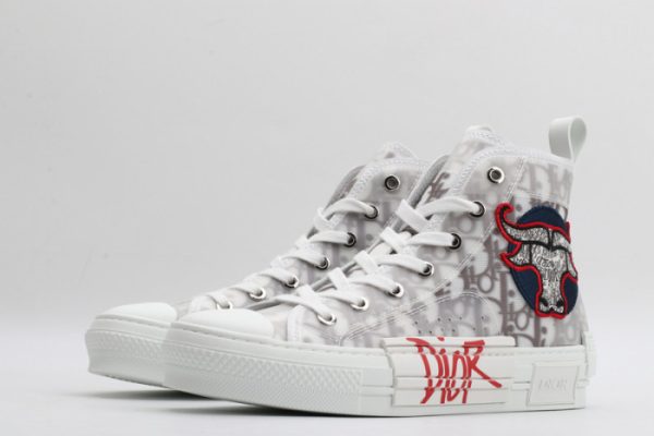 Dior B23 Oblique High Top "Shawn" Shoes