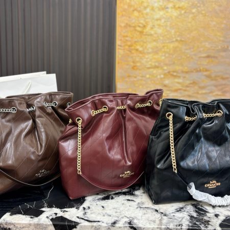 Coach Evelyn Chain Lucky Bag - Image 2