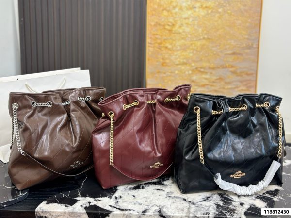 Coach Evelyn Chain Lucky Bag