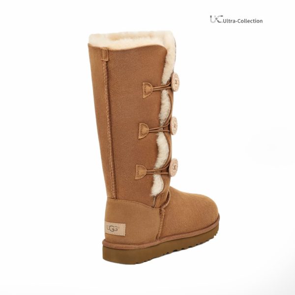 UGG Women's Brown and Tan Boots