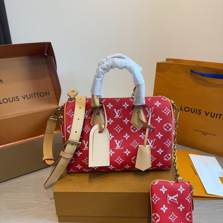 LV Speedy Pillow Bag - Image 2