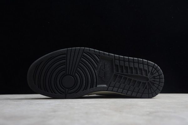 Air Jordan 1 Rookie of the Year 555088-700