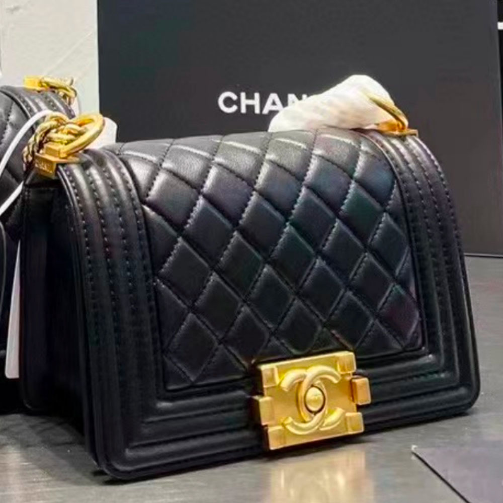 Chanel LEBOY Small 20CM - Image 4