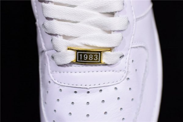 Nike Air Force 1 Low Fo Fi Fo AQ5107-100