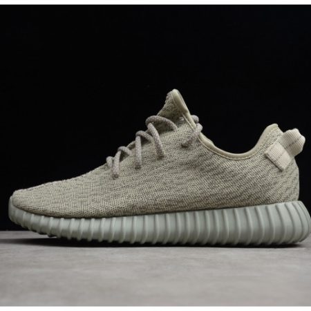 Yeezy Boost 350 "moonrock" aQ2660